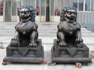三界五行：擺放獅子要分雌雄